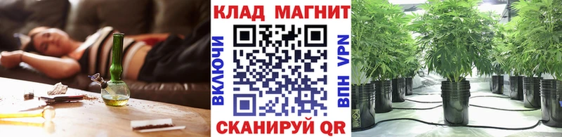 Где купить Саки Псилоцибиновые грибы  Каннабис  Cocaine  МЕФ  ГАШ 