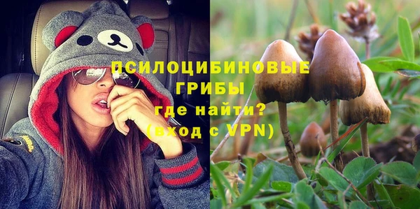 амф Алексин