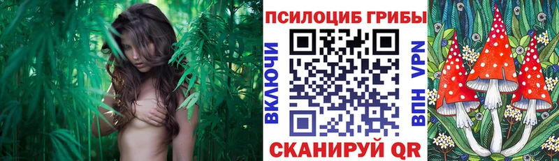 маркетплейс официальный сайт  Саки  Галлюциногенные грибы мухоморы 