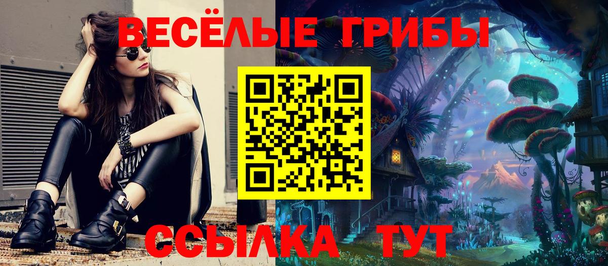 Галлюциногенные грибы мицелий  Вход с VPN  Саки  Псилоцибиновые грибы ЛСД 