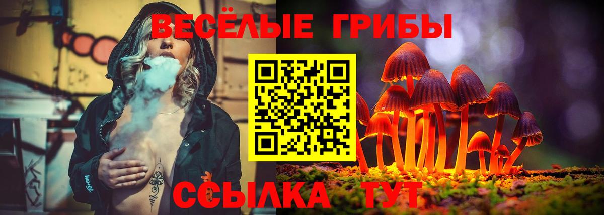 Псилоцибиновые грибы мицелий Саки